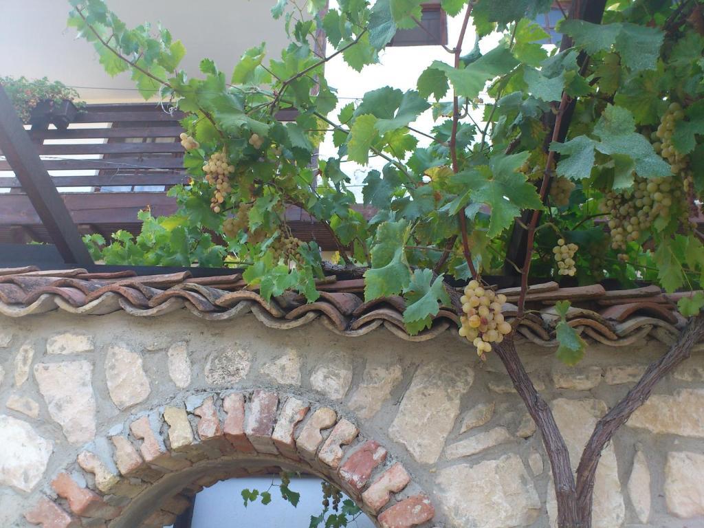 Villa Nasco Golden Sands Exterior foto